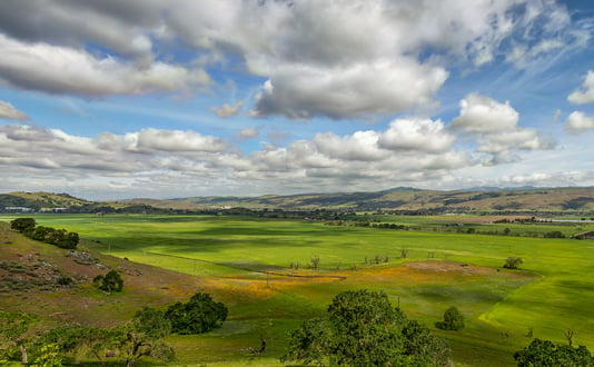 Green Coyote Valley under blue sky with clouds