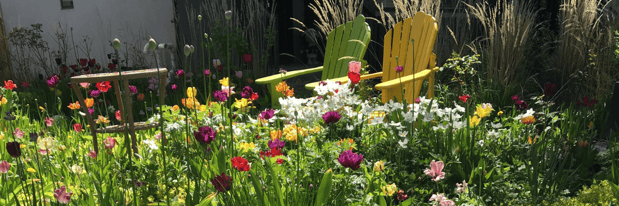 10 - Drought Tolerant Pollinator Yard