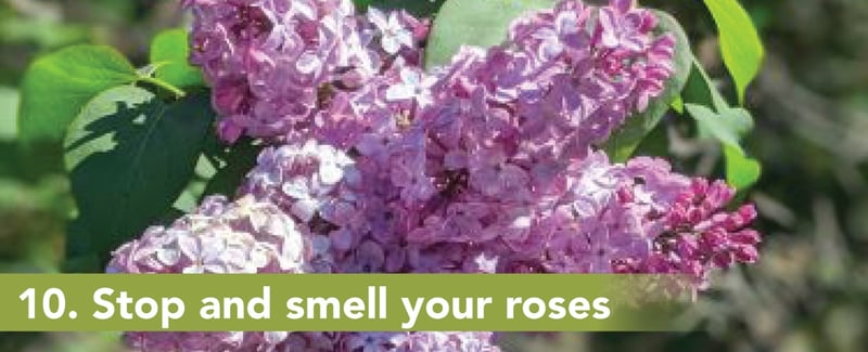 10. Stop and smell your roses