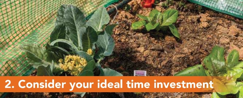 2. Consider your ideal time investment
