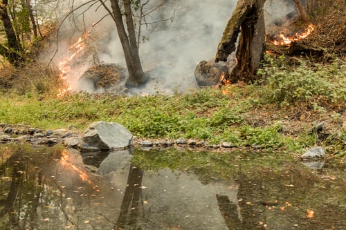 2016_RCDO_Loma Fire__September 29, 2016_Fire on RCDO OSP (8)