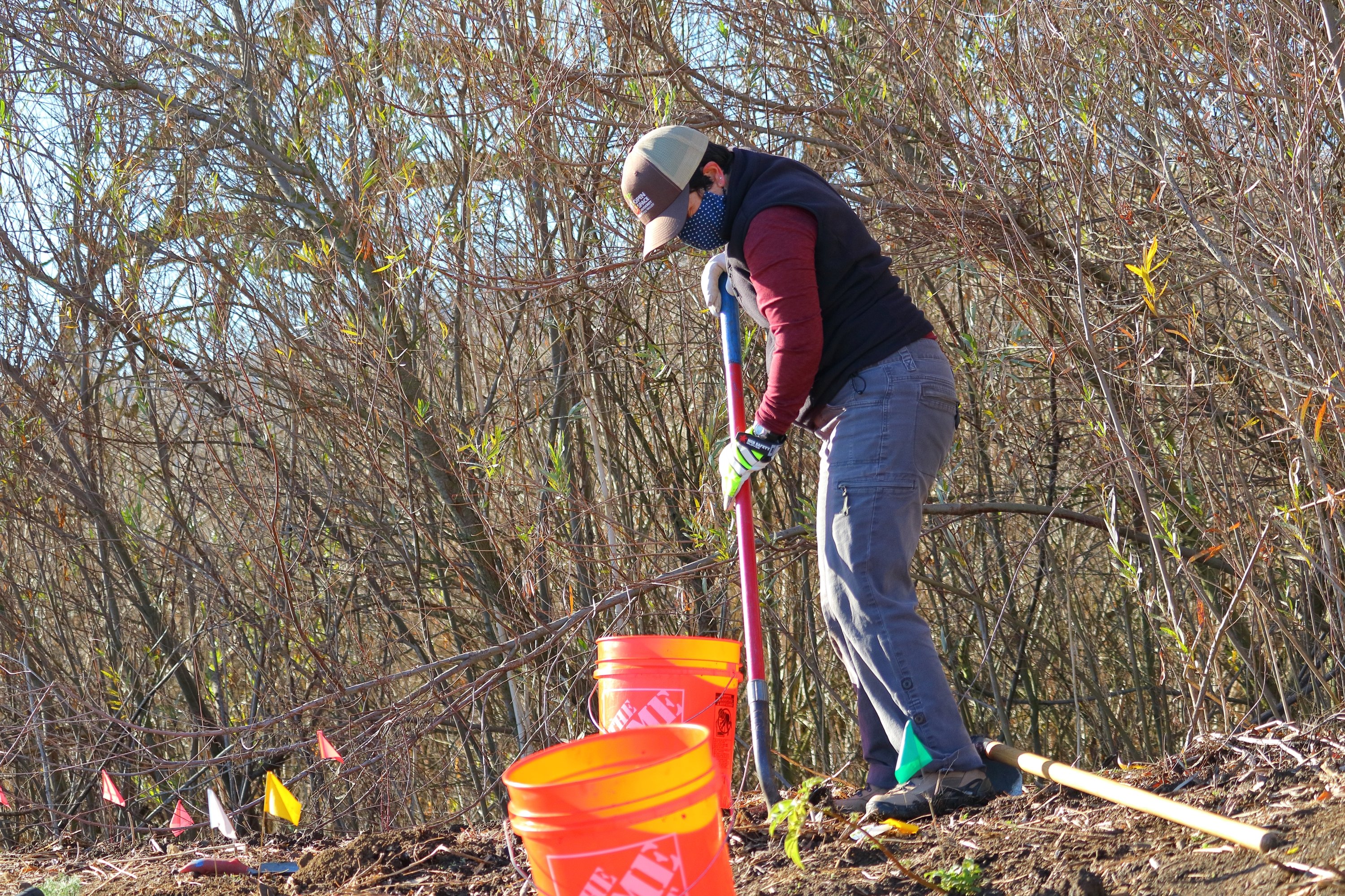 20201218DMauk-FBENPlanting-030-sized