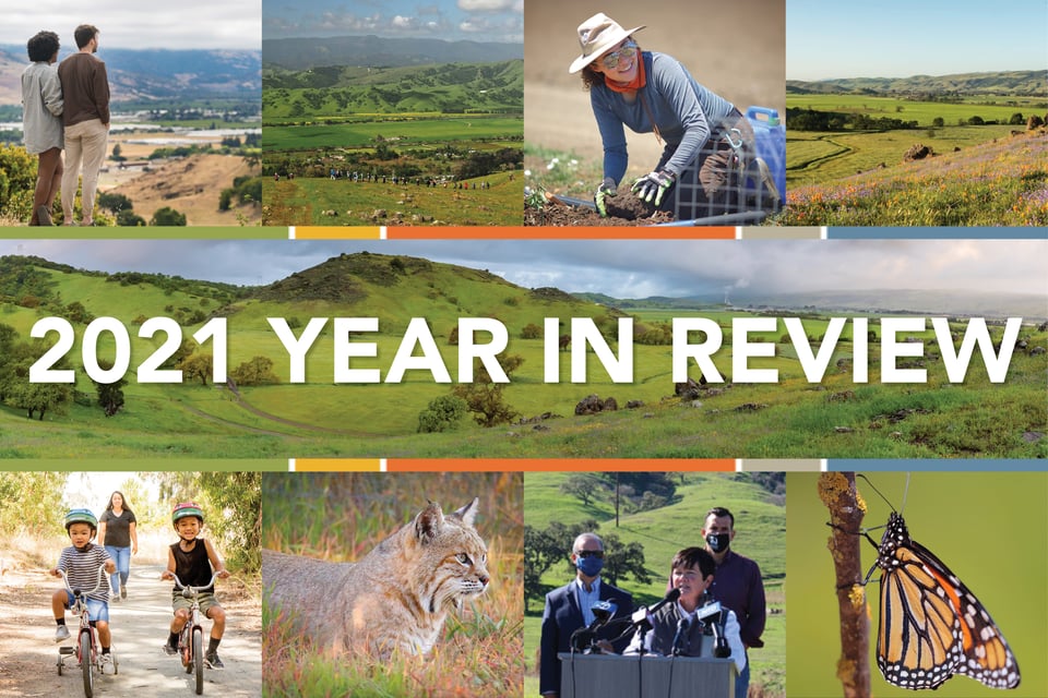 2021 Year in Review FB Photo - 