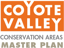 210114_CoyoteValley_ID-Finalists_Block Multicolor-1-1