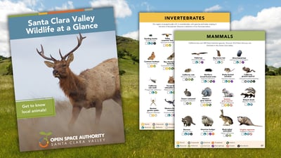 Activity book graphic (1)