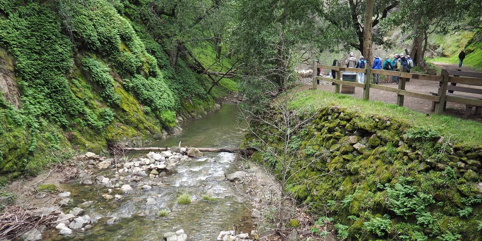 Alum Rock landscape with creek and trail