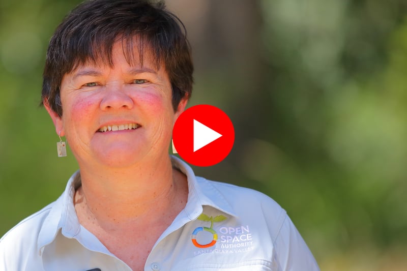 Andrea Mackenzie Video_Newsletter