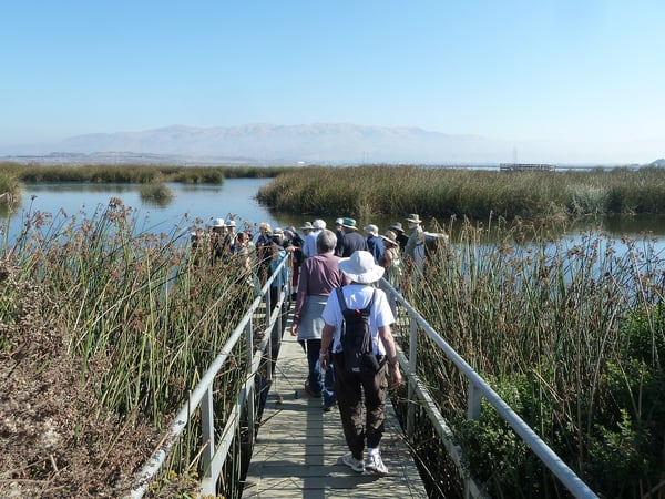 Bay Area Older Adults -  Park Crawl - Courtesy Photo - 2018 -  3
