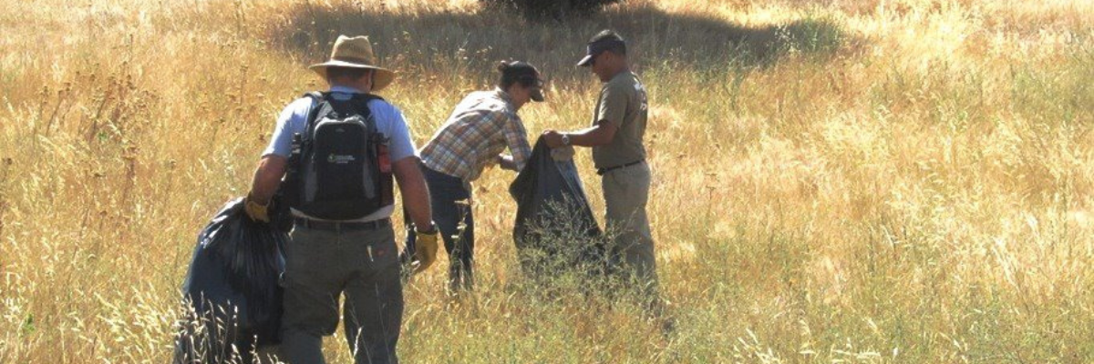 The Negative Impacts of Illegal Dumping