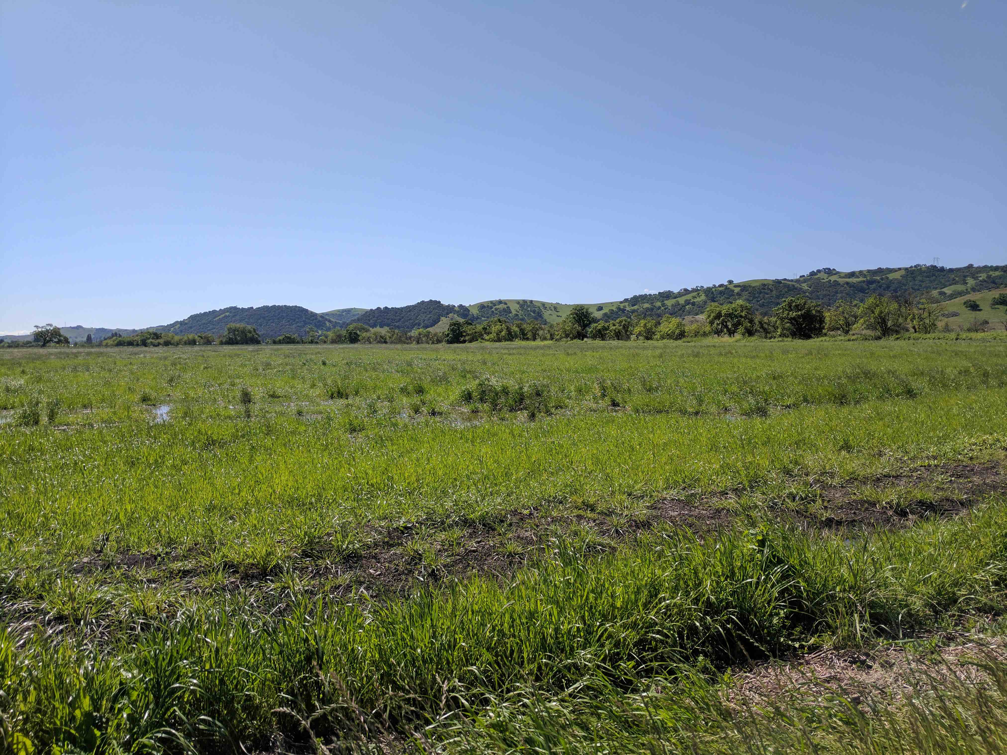 Ramke_POST_Kevin_Ice