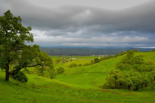 coyote-valley-open-space-preserve-winter-hiking-tips-1