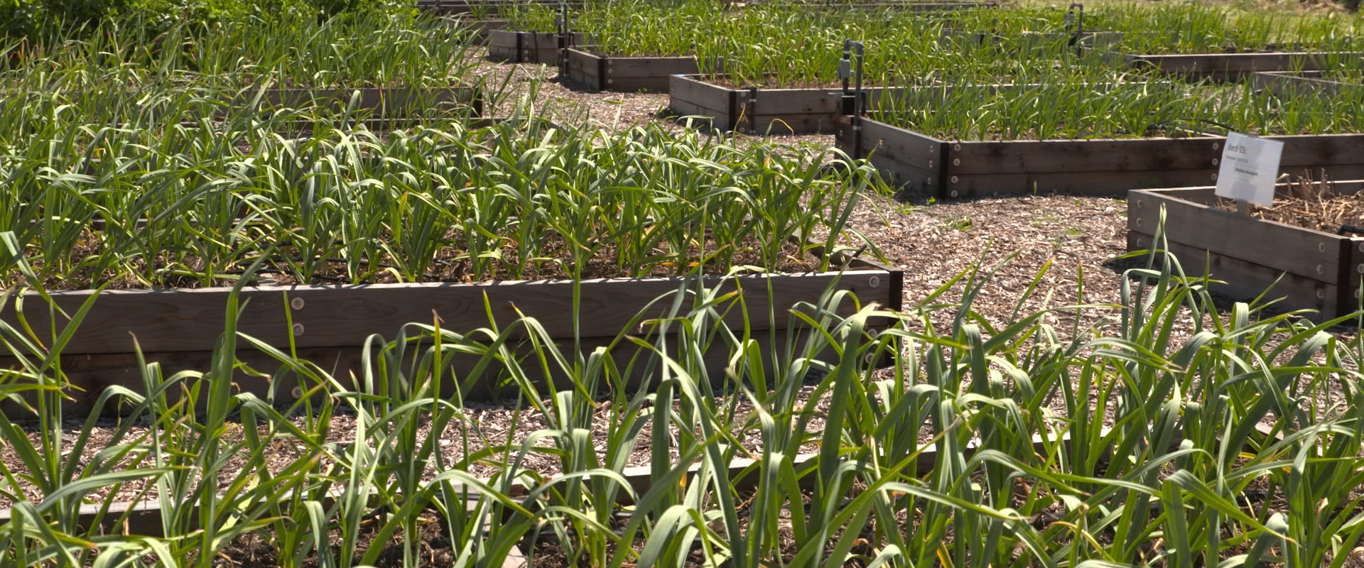 planter box_hero.jpg