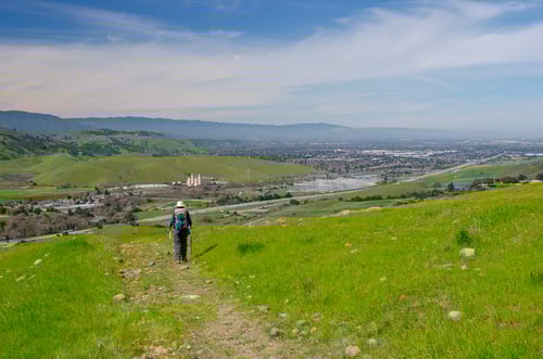 CRID - Landscape - C.Kifer - 03-17-19 - 24