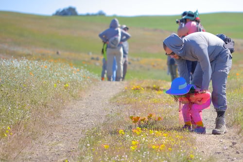 CRID - Public Access Hikers - D.Mauk - 2022-03-12 - 1