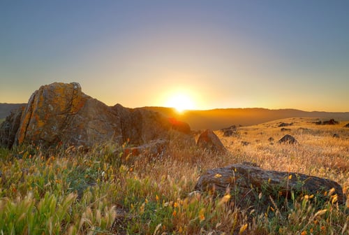 CRID - Sunrise landscape - D-Mauk - 2021-05-09 - 2-1