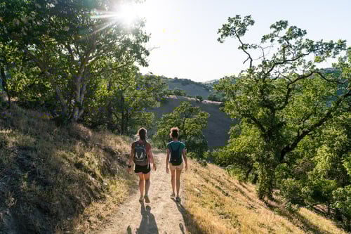 CVAL - Hikers - M.Bergreen - 2021-05-16 - 144-1