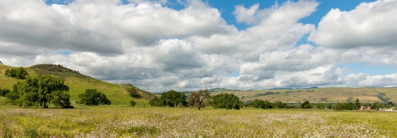 CVAL - Landscape - D-Neumann - Apr-08-2017 - 4-1-1-1