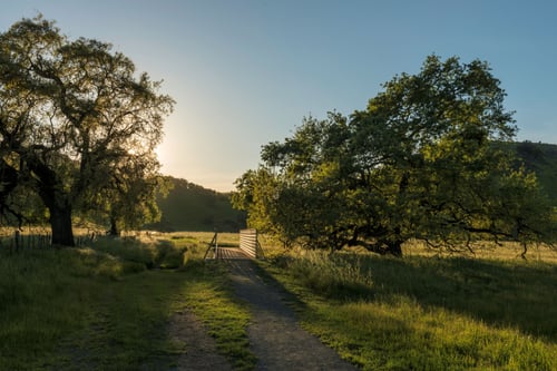 Coyote Valley Landscape