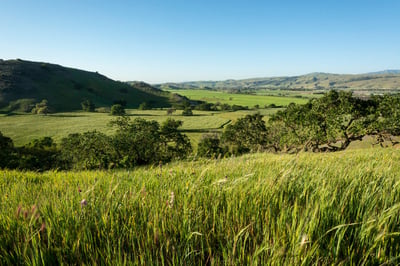 A green landscape showcases grass, trees, rolling hills and open space against a blue sky in the background.