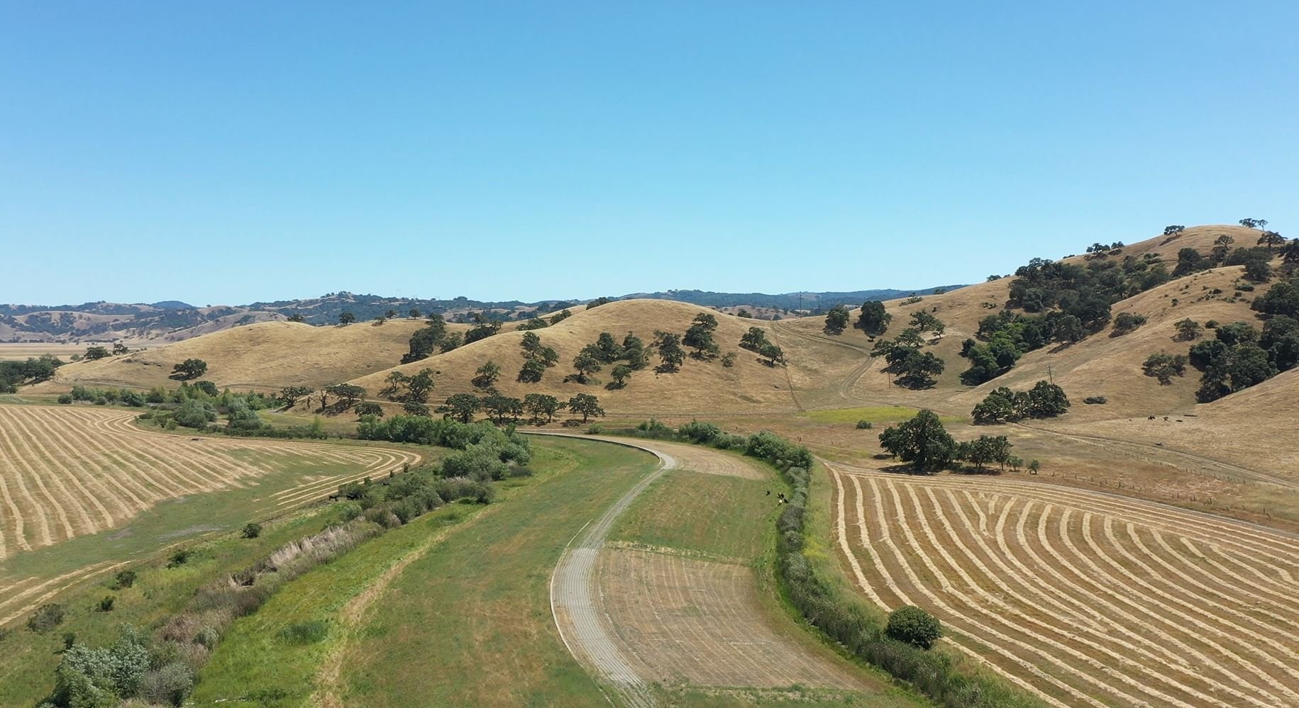 Green and golden hills under blue sky with curving trail