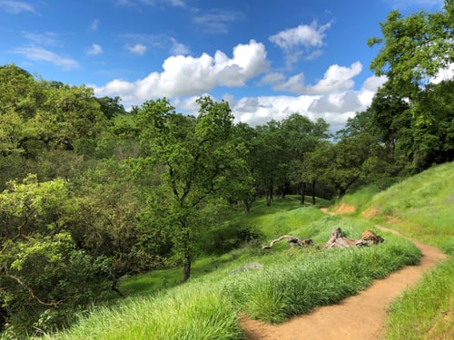 CVAL - Landscape - Nicole Gittleson - 4-5-2019 - 5