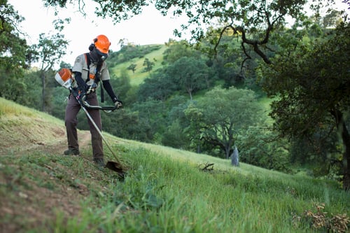 CVAL - Weed clearing - L.Naumovich - Apr-03-2015