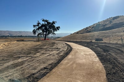 A new trail for recreation winds towards a golden hill and a large oak tree.
