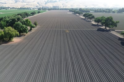 Coyote Fields Newsletter