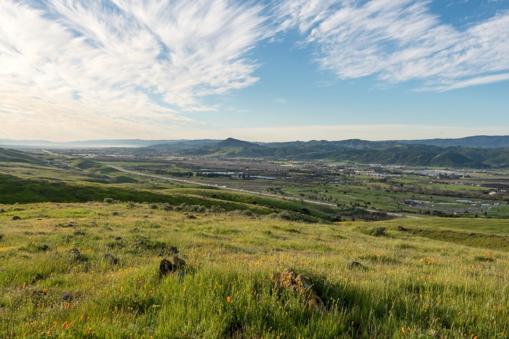 Coyote Ridge - Landscapes - DN - 3-19-16 - 19-036533-edited