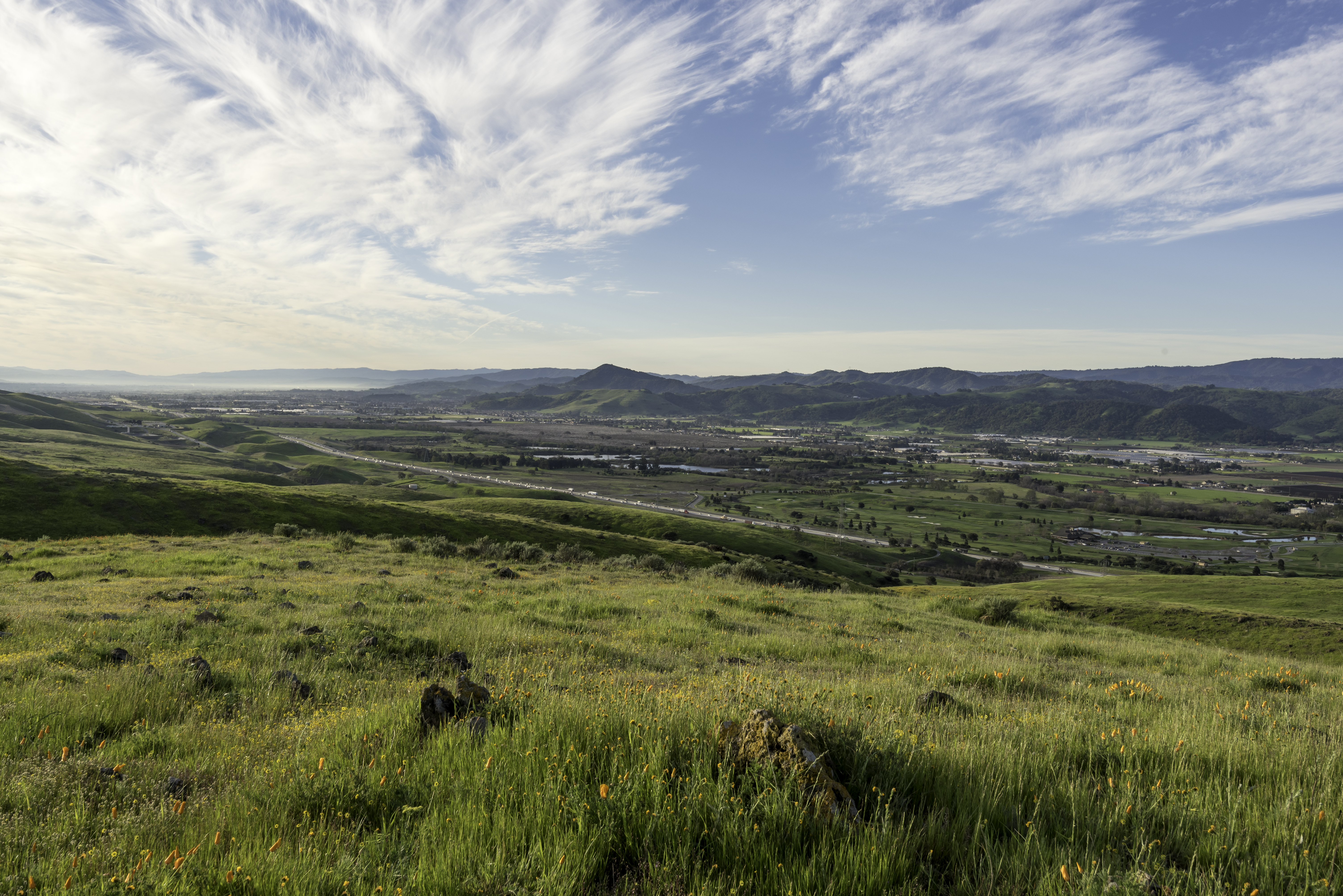 Coyote Ridge - Landscapes - DN - 3-19-16 - 19-1