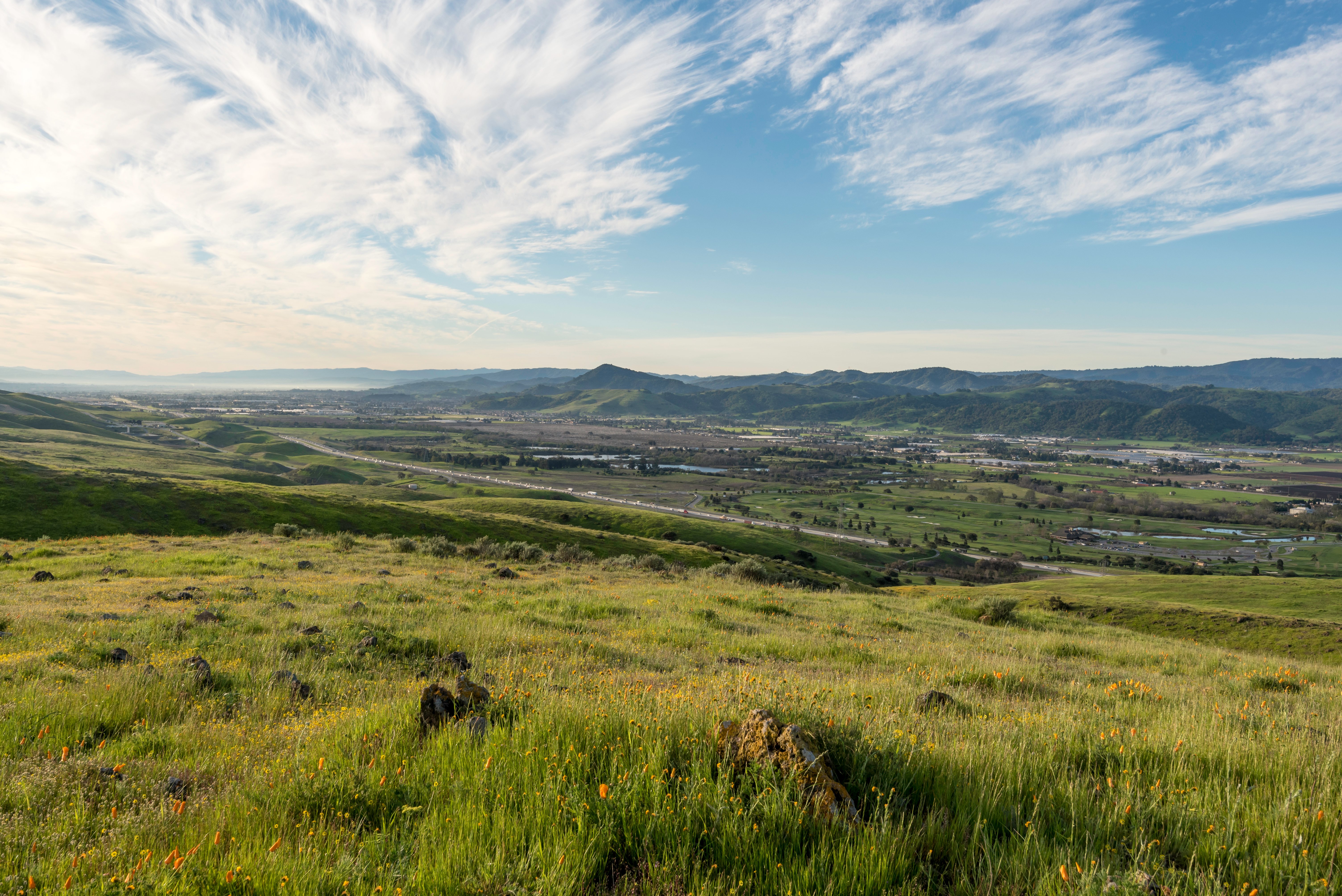 Coyote Ridge - Landscapes - DN - 3-19-16 - 19-1