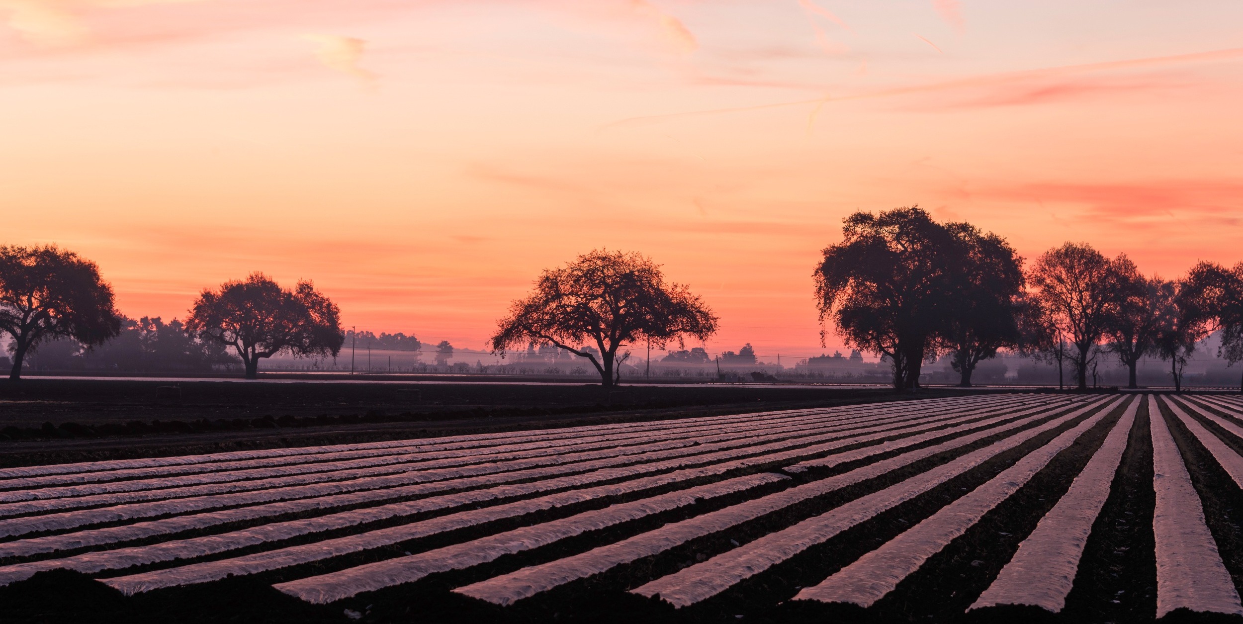 Coyote Valley - Ag field - Derek Neumann - 1-1-2