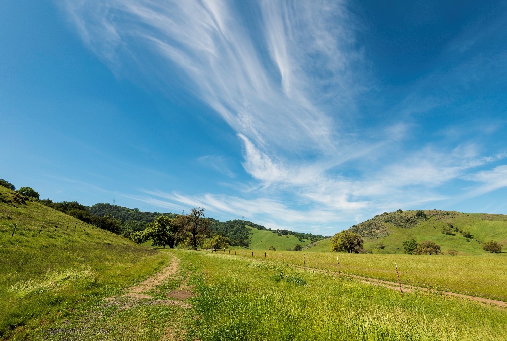 Coyote Valley - Landscapes - DN - 3-22-2016 - 19-2-1