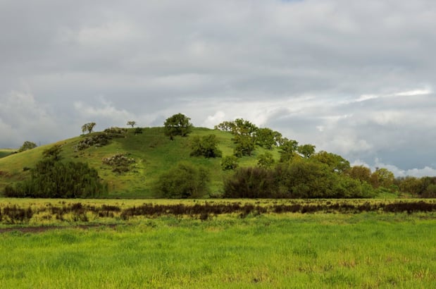 Coyote Valley - Spreckles Hill - DN - Mar-22-2017 - 2 - resize