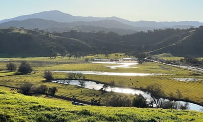 Coyote Valley - Spreckles Hill - N-Perry - 2023-04 - 1