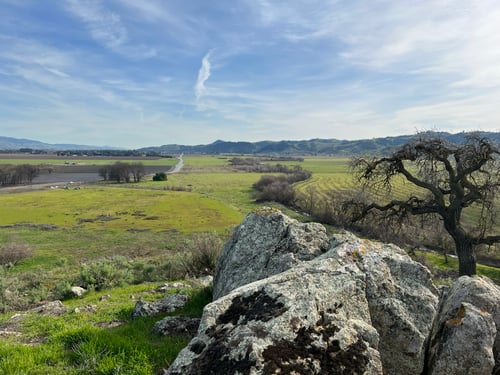 Coyote Valley - Spreckles Hill - N.Perry - 2023-04 - 2