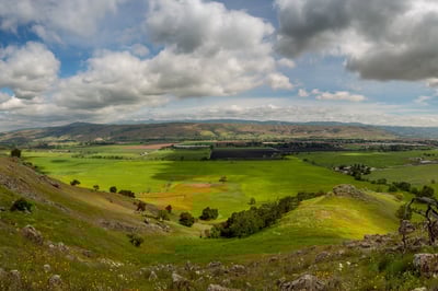 Coyote Valley Landscape_newsletter