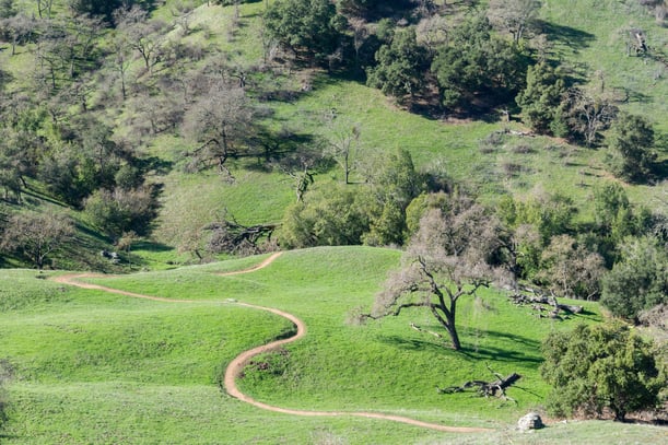 Coyote Valley OSP - Arrowhead Loop Trail - DN - Jan-21-2018 - 5-1