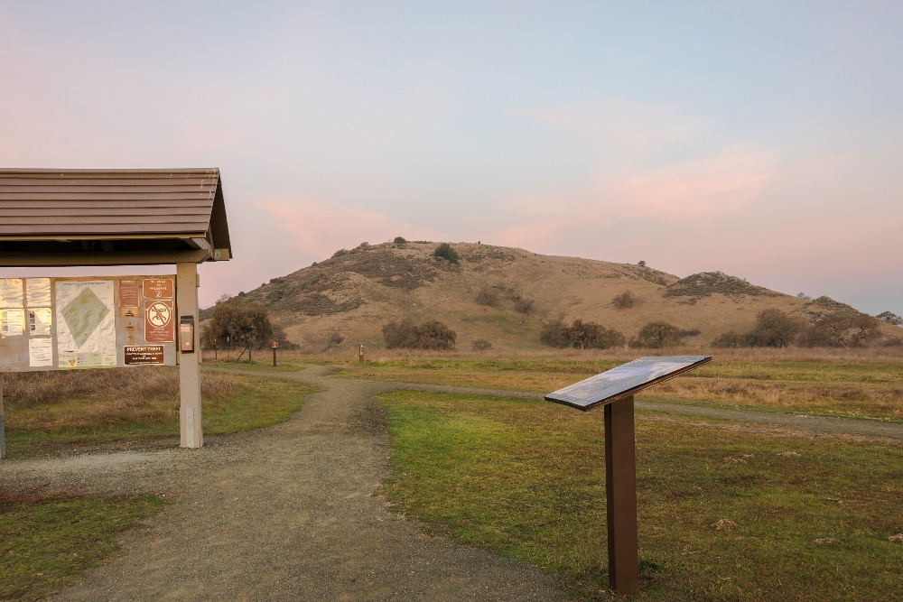 Coyote Valley OSP - Landscapes - DN - Dec-29-2017 - 2-1