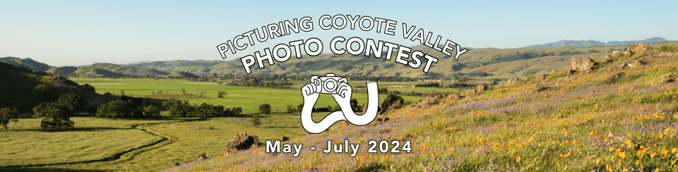 Coyote Valley Photo Contest (600 x 400 px) (8.5 x 2.166 in)