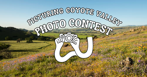 Coyote Valley Photo Contest (square) (2000 x 1050 px)