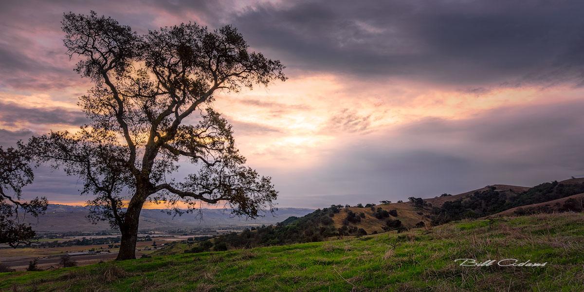 Coyote Valley Sunset - BA