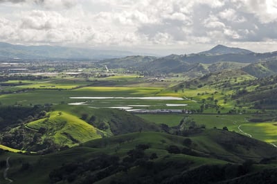 Coyote Valley landscape _newsletter_R.Horii