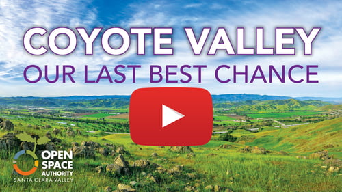 Coyote-Valley-Last-Best-Chance