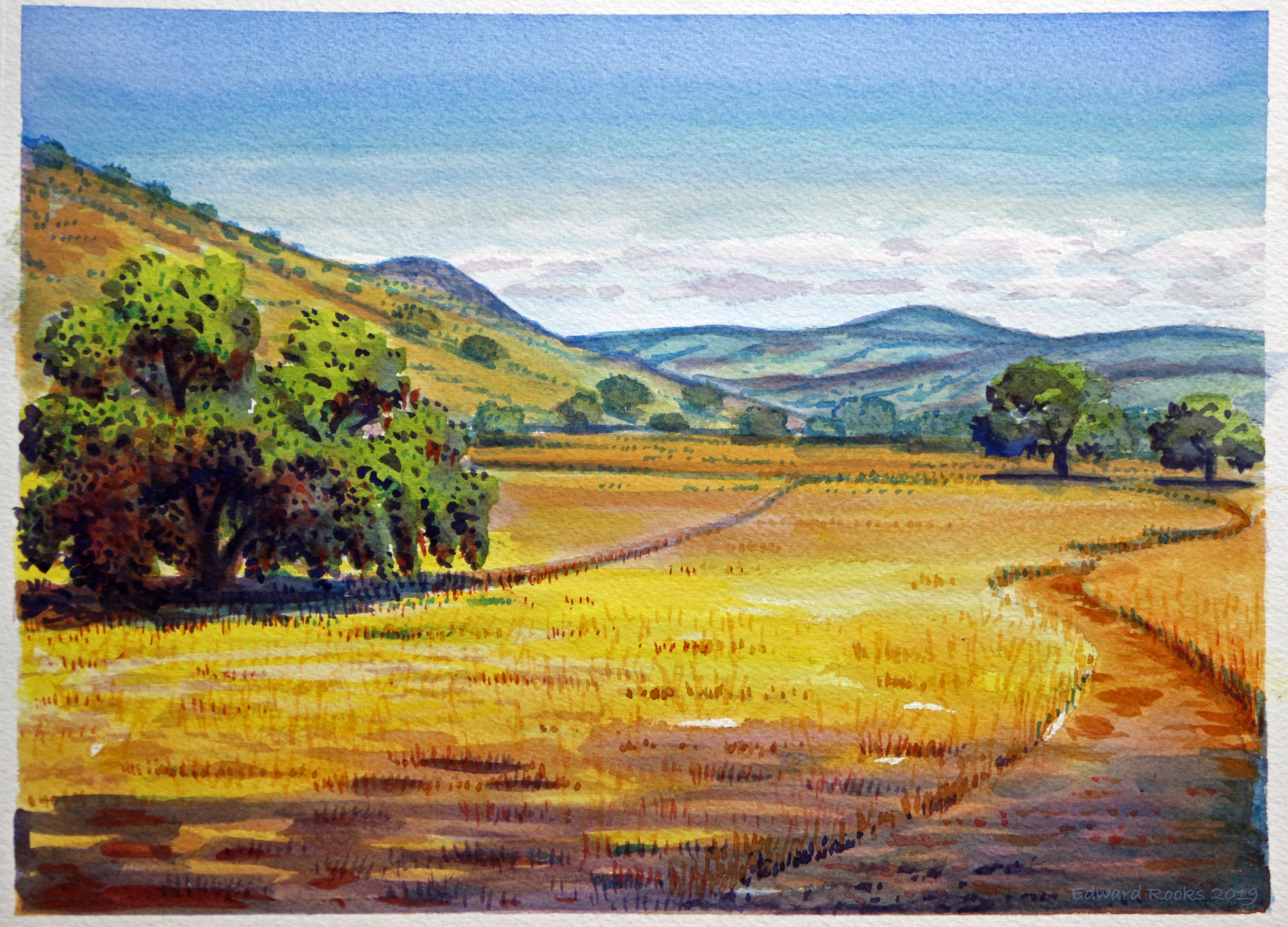 CoyoteValley2_PleinAirWatercolor_Rooks2019