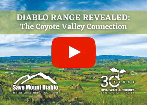 Image of green landscape with text that says "Diablo Range Revealed: The Coyote Valley Connection", a red YouTube play button, and Save Mount Diablo and Open Space Authority 30th anniversary logos.