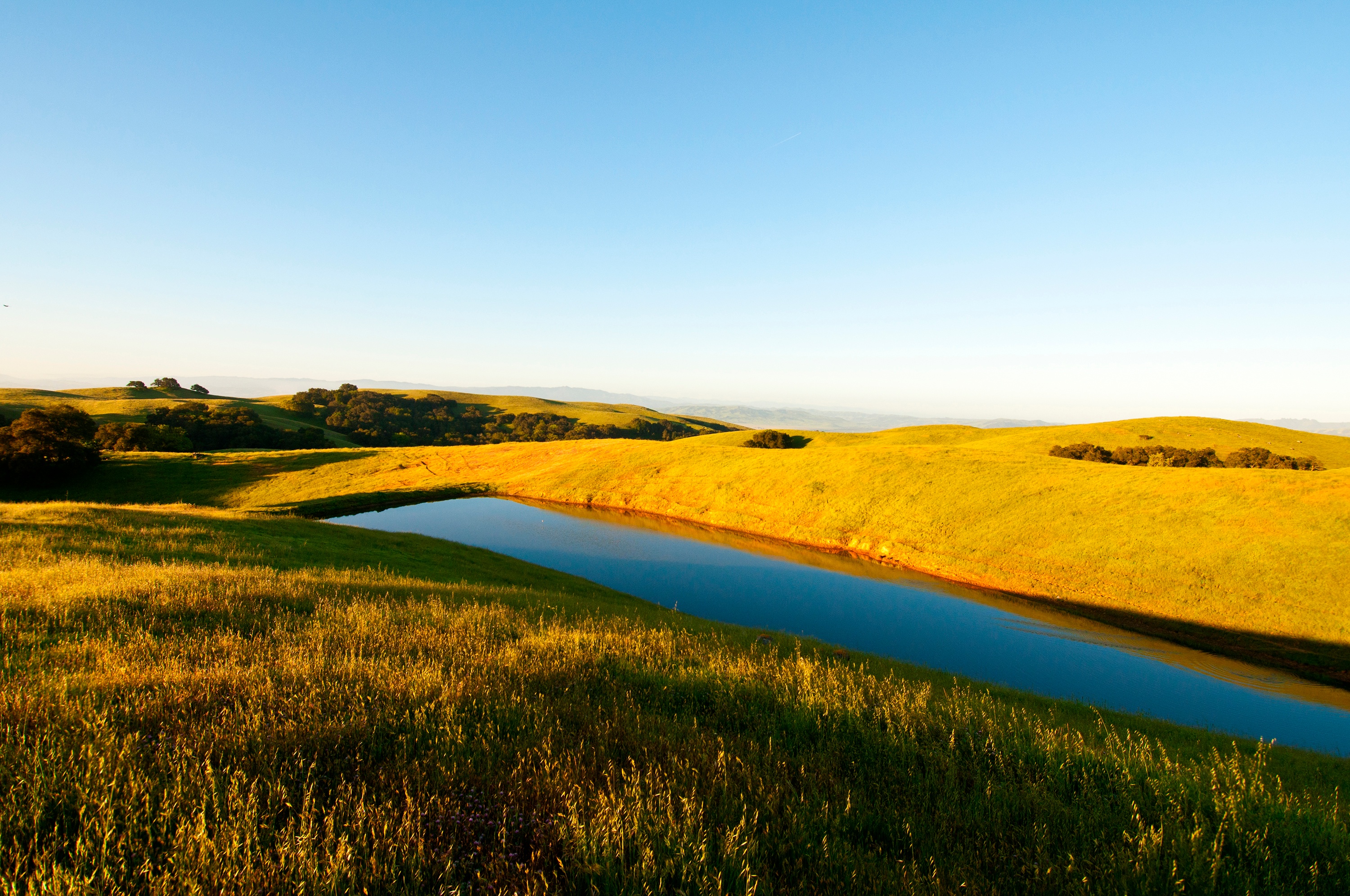 Doan Ranchland with pond - OSA - 02-25-2014