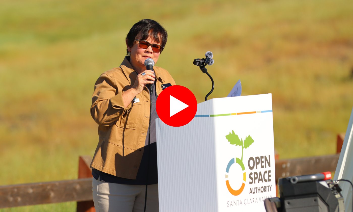 Energy Press Conference_Newsletter Hero