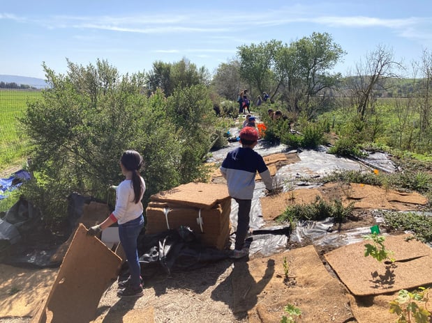 FBEN - Fishers Bend STRAW Planting - 2022-03-18 - 1-1