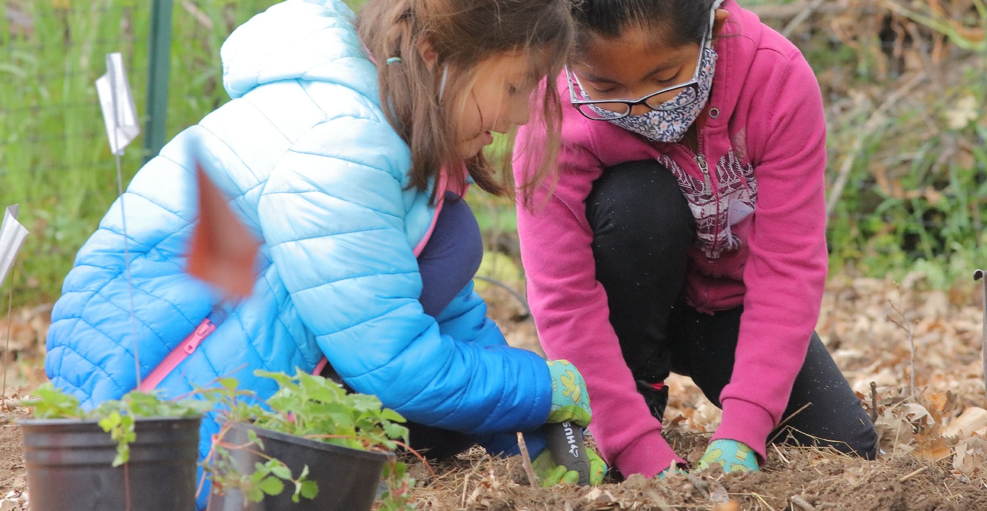 FBEN - Fishers Bend STRAW Planting - D-Mauk - 2022-03-15 - 4-1